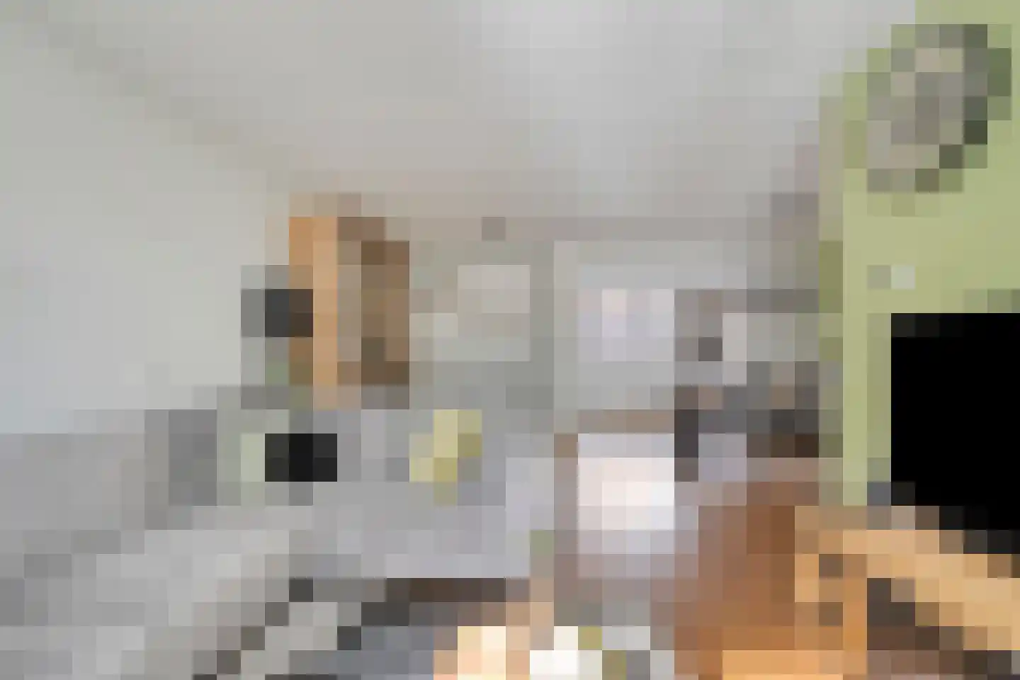 Beeklustweg 113 Apeldoorn thumbnail 9