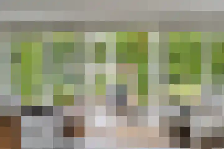Beeklustweg 30 Apeldoorn thumbnail 10