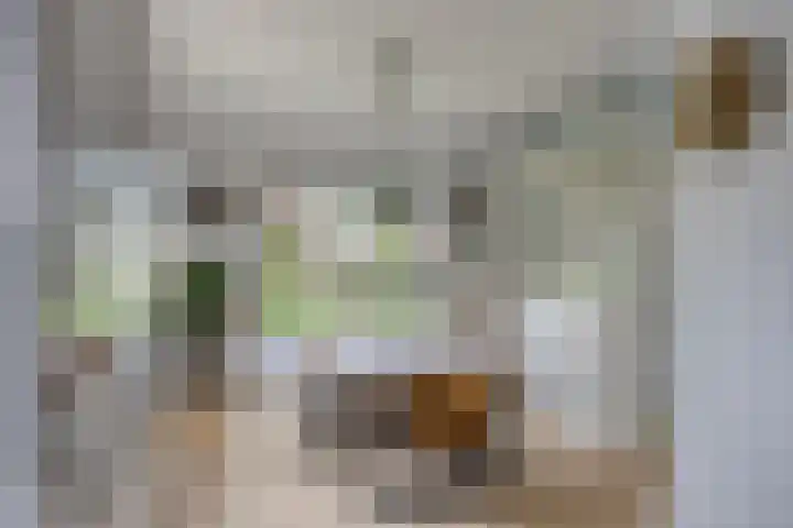 Beeklustweg 30 Apeldoorn thumbnail 14