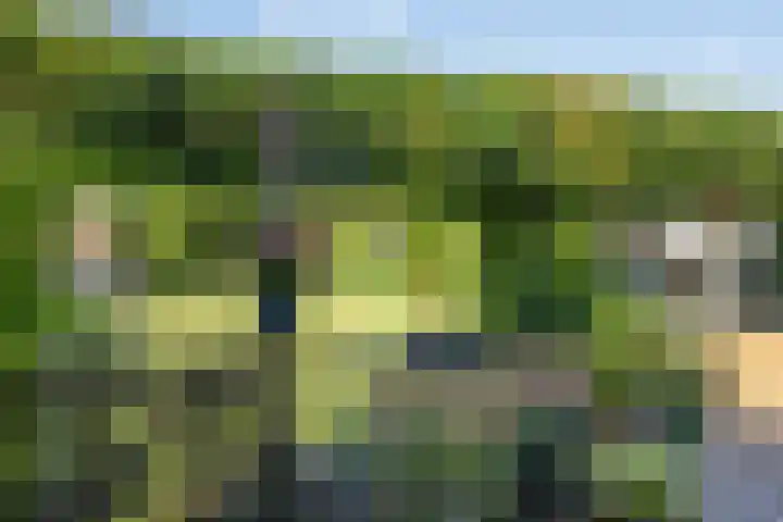 Beeklustweg 30 Apeldoorn thumbnail 22