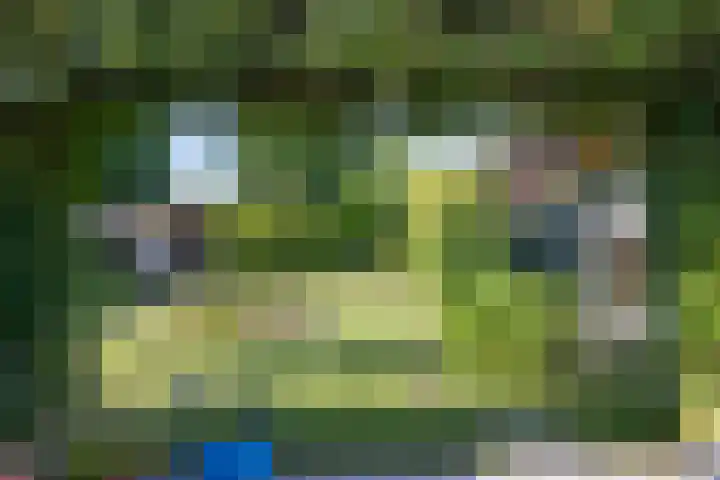 Beeklustweg 30 Apeldoorn thumbnail 23