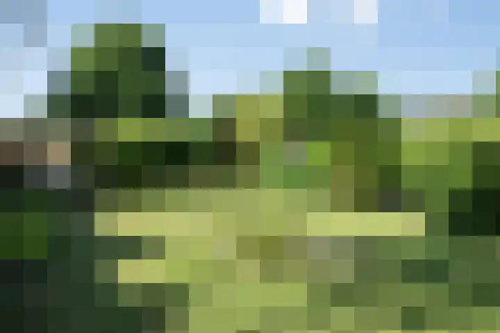 Beeklustweg 30 Apeldoorn thumbnail 24