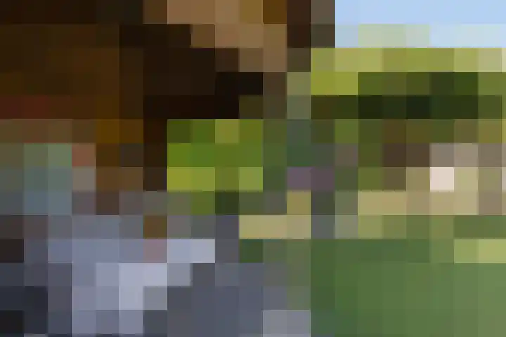 Beeklustweg 30 Apeldoorn thumbnail 25