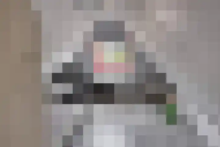 Beeklustweg 30 Apeldoorn thumbnail 31
