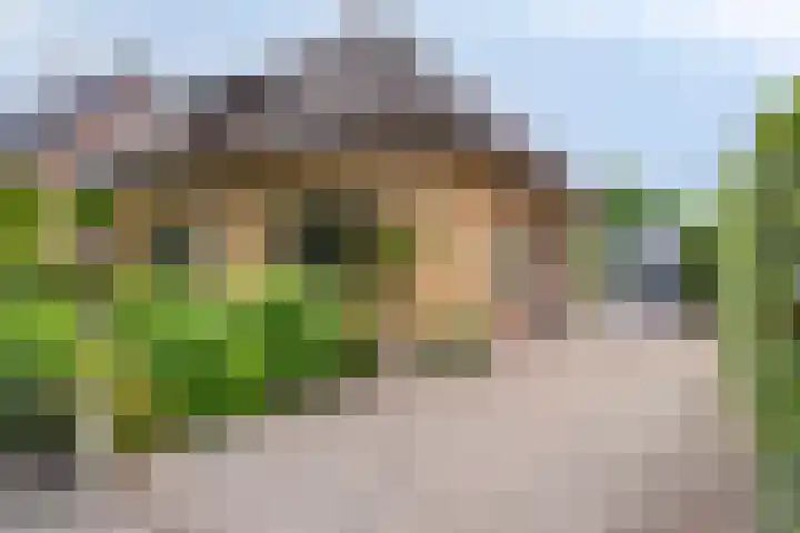 Beeklustweg 30 Apeldoorn thumbnail 32
