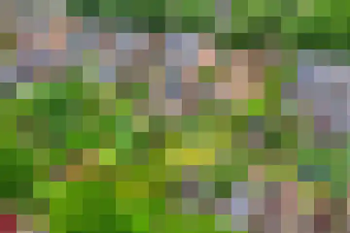 Beeklustweg 30 Apeldoorn thumbnail 34