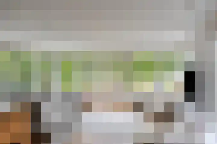 Beeklustweg 30 Apeldoorn thumbnail 9