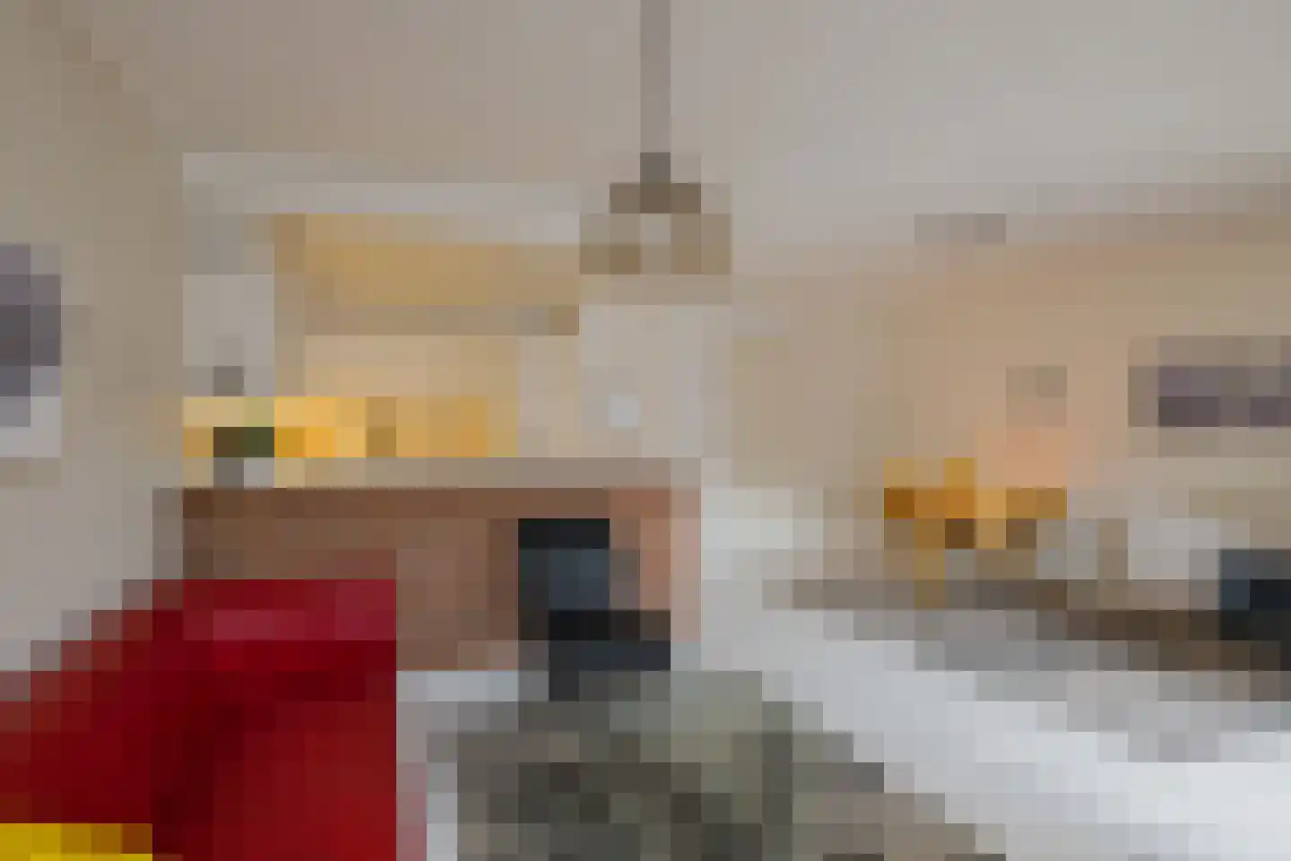 Beekmansbos 2 IJmuiden thumbnail 11