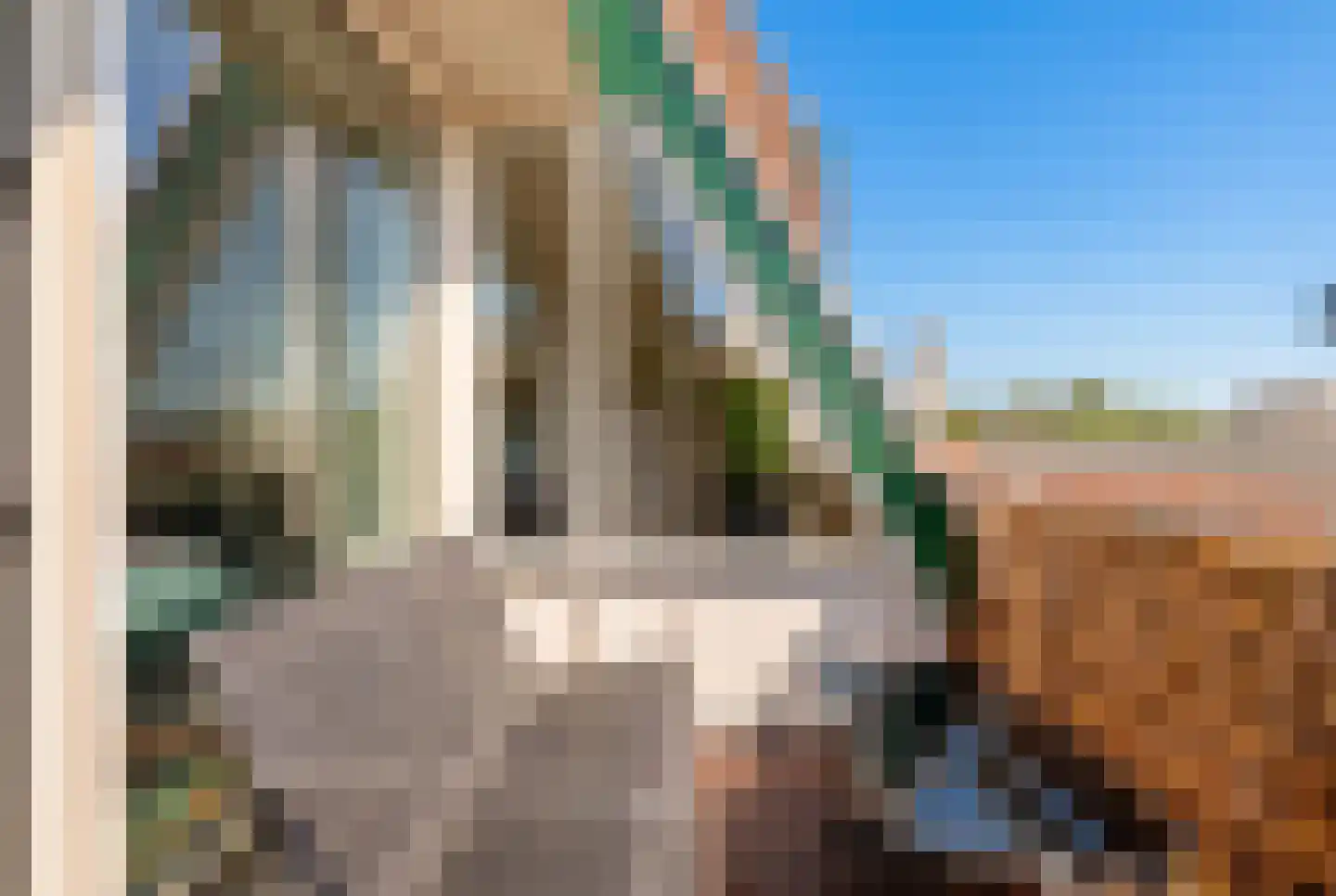Beekmansbos 33 IJmuiden thumbnail 4