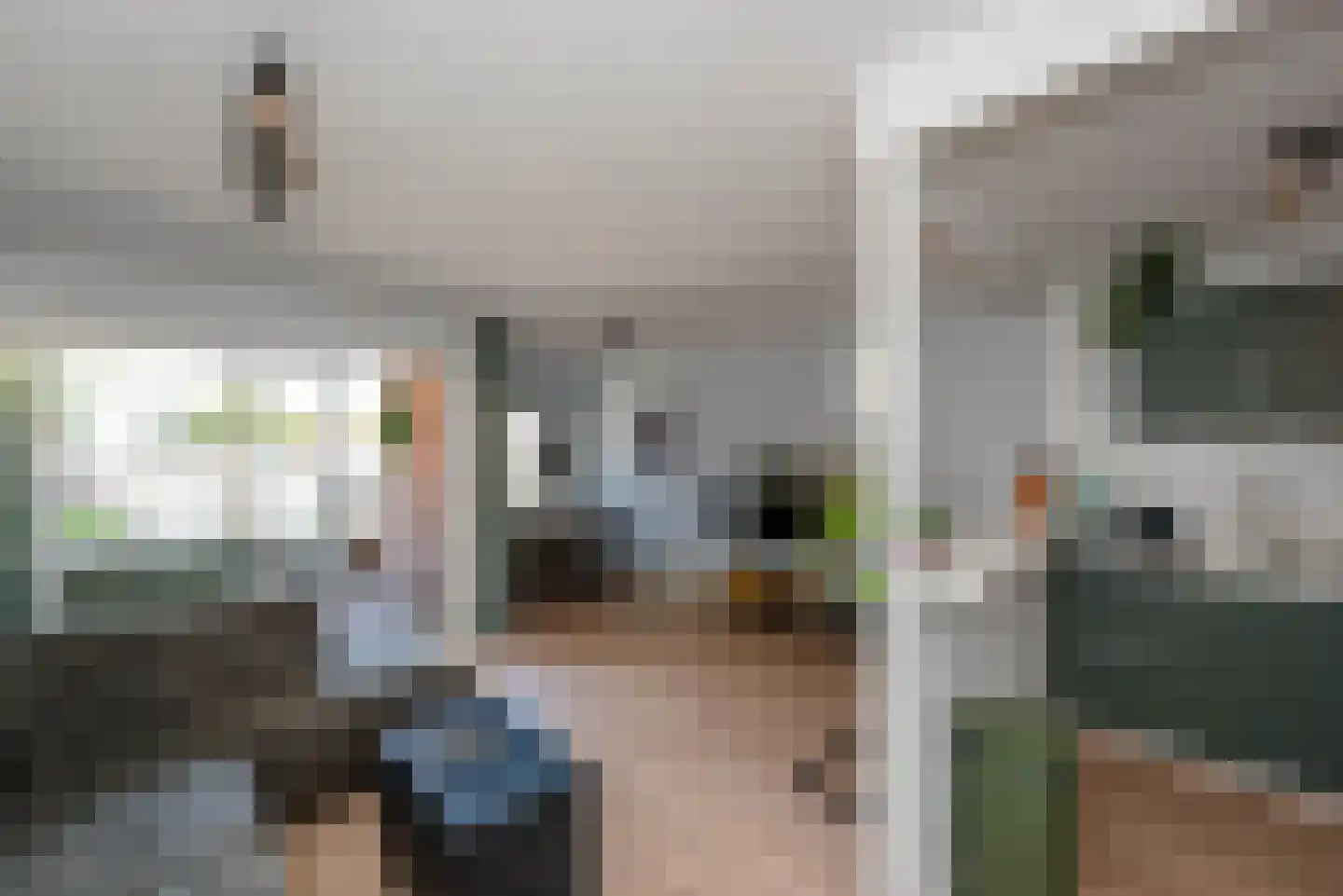 Beekmansbos 42 IJmuiden thumbnail 10