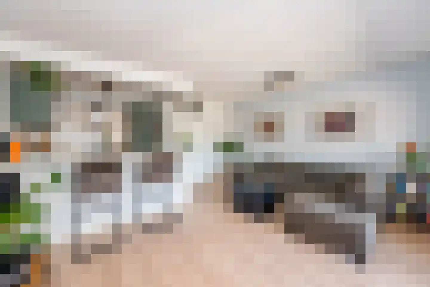 Beekmansbos 42 IJmuiden thumbnail 8