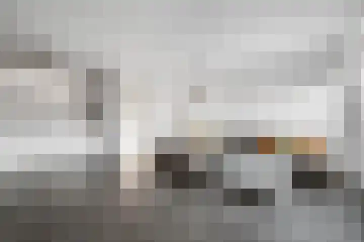 Beekmansbos 73 IJmuiden thumbnail 11