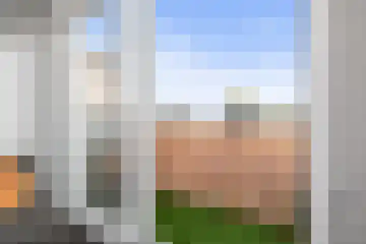 Beekmansbos 73 IJmuiden thumbnail 14