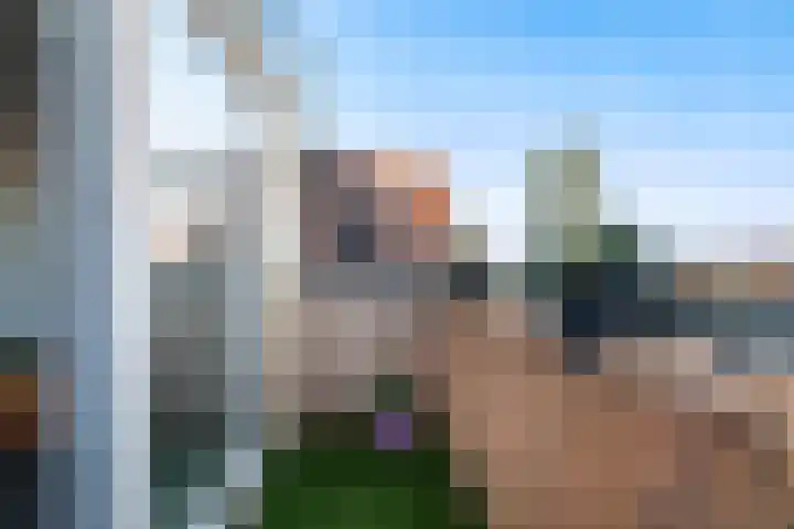 Beekmansbos 73 IJmuiden thumbnail 15