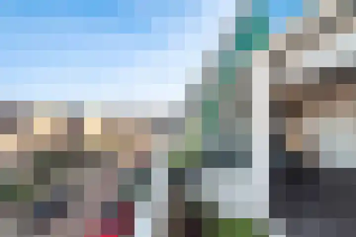 Beekmansbos 73 IJmuiden thumbnail 16