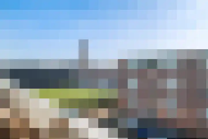 Beekmansbos 73 IJmuiden thumbnail 23
