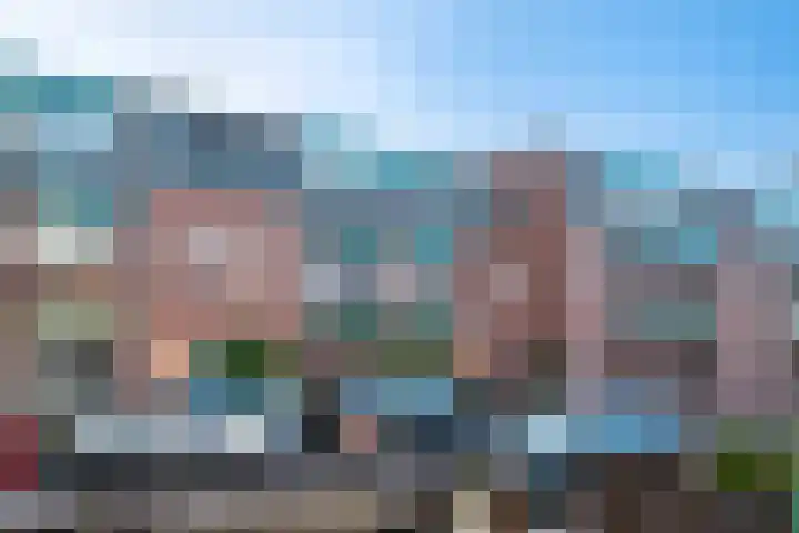 Beekmansbos 73 IJmuiden thumbnail 25