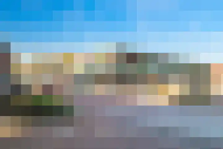 Beekmansbos 73 IJmuiden thumbnail 27