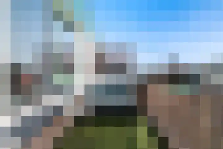 Beekmansbos 73 IJmuiden thumbnail 4