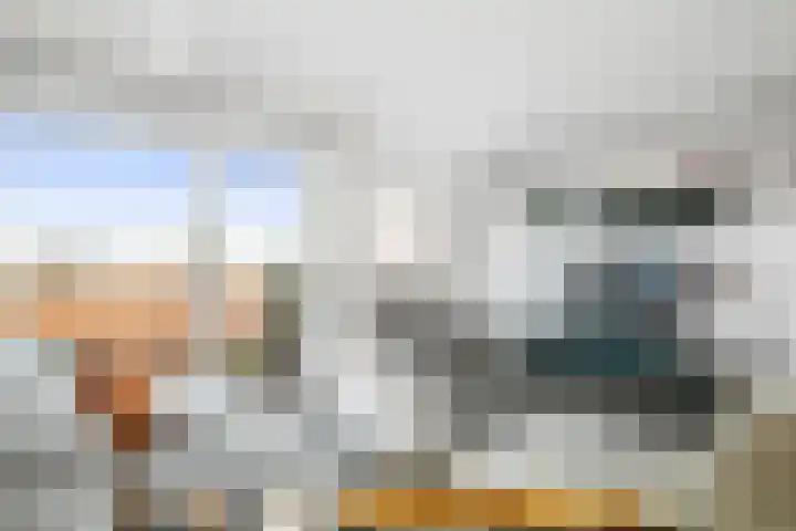 Beekmansbos 73 IJmuiden thumbnail 8