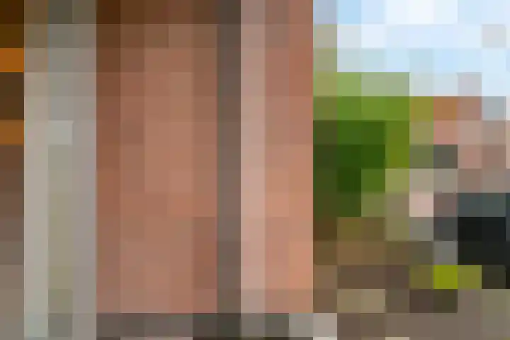 Beekmansbos 74 IJmuiden thumbnail 14