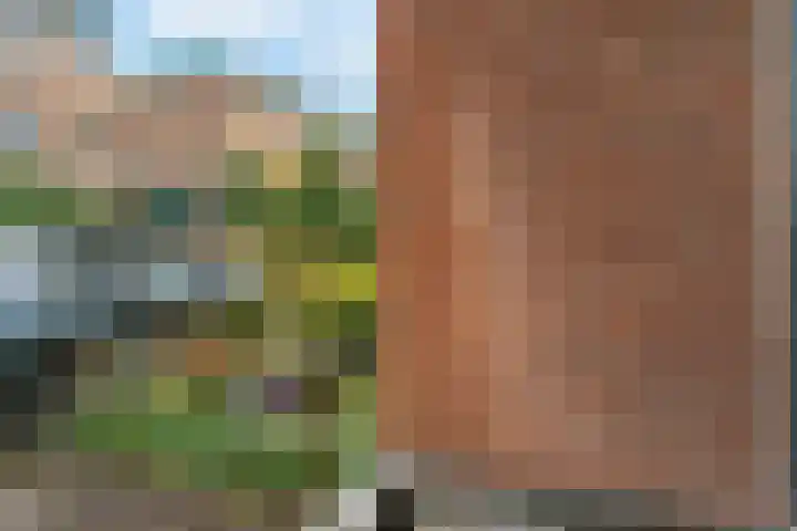Beekmansbos 74 IJmuiden thumbnail 15