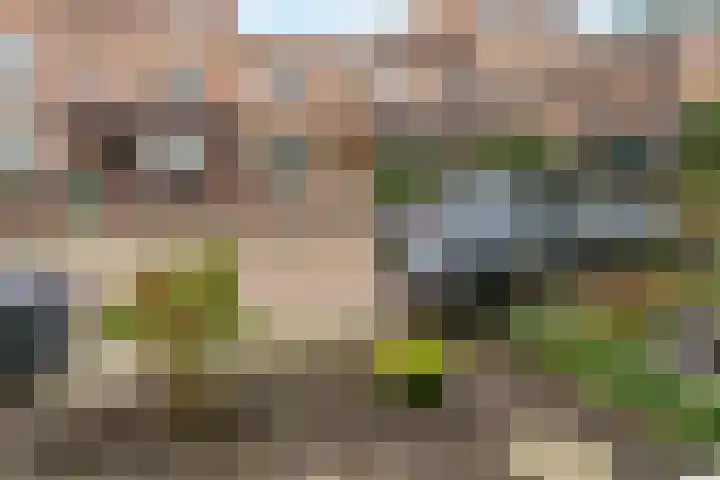 Beekmansbos 74 IJmuiden thumbnail 16