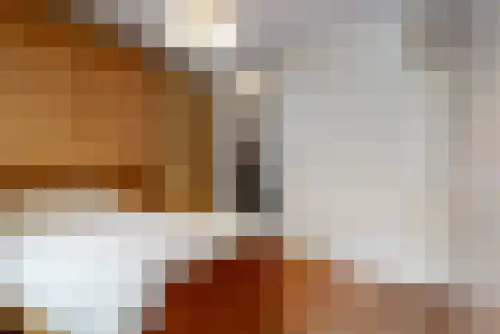 Beekmansbos 74 IJmuiden thumbnail 19