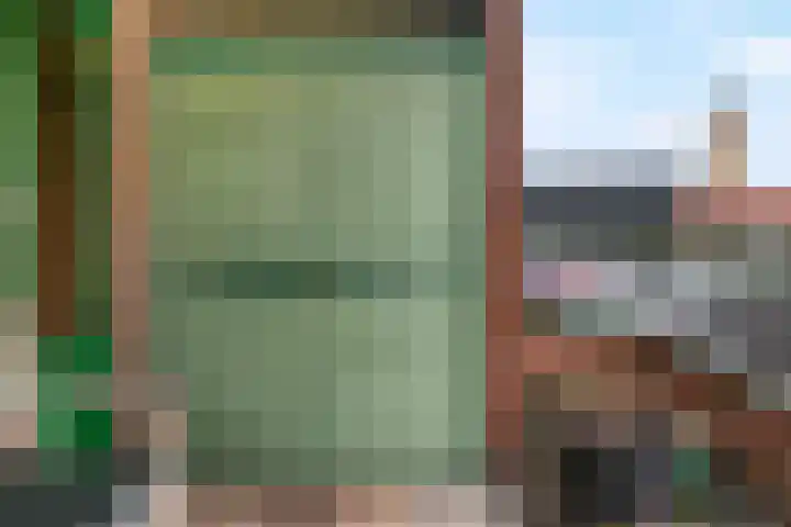 Beekmansbos 74 IJmuiden thumbnail 21