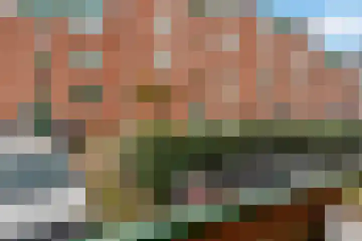 Beekmansbos 74 IJmuiden thumbnail 23