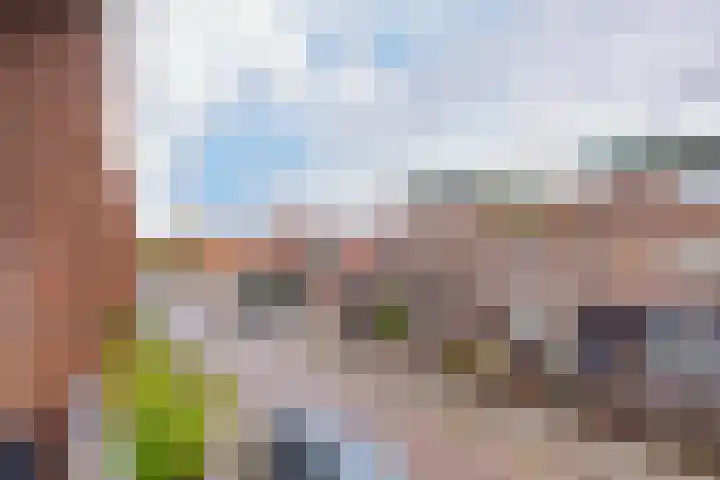 Beekmansbos 77 IJmuiden thumbnail 16