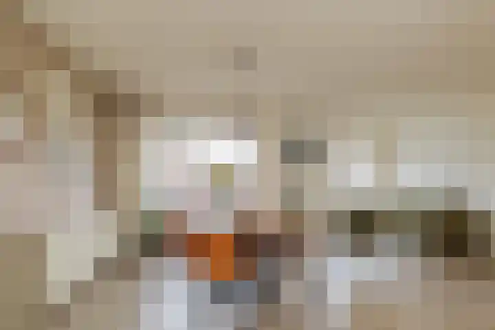 Beekmansbos 77 IJmuiden thumbnail 8