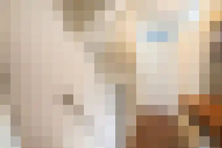 Beekmansgoed 1 Nijkerk thumbnail 18