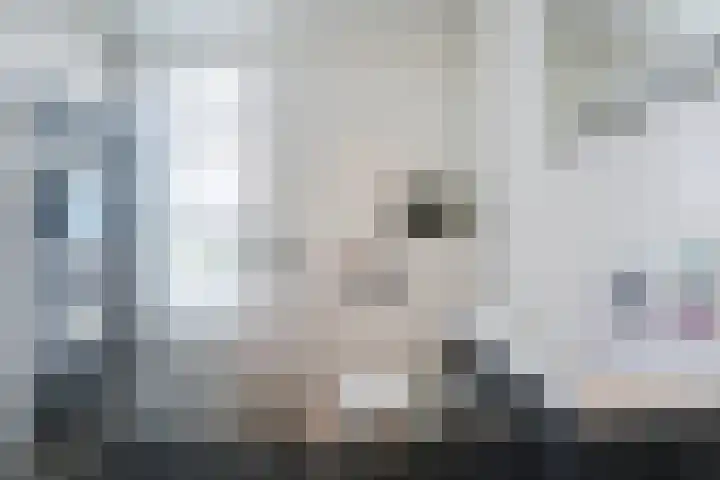 Beekmansgoed 1 Nijkerk thumbnail 24