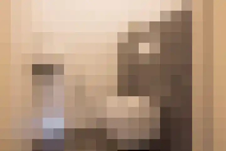Beekmansgoed 4 Nijkerk thumbnail 11