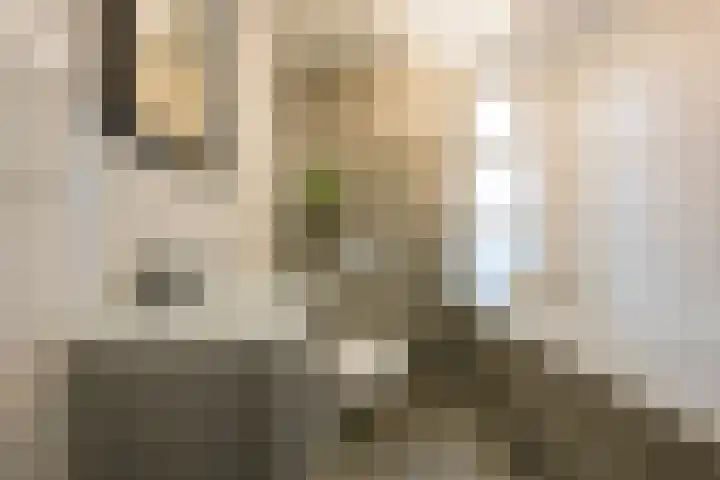 Beekmansgoed 4 Nijkerk thumbnail 22