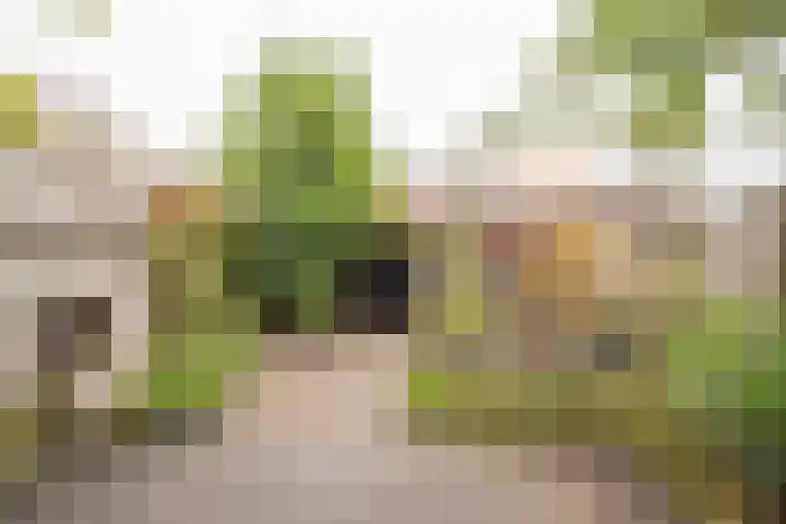Beekmansgoed 4 Nijkerk thumbnail 30