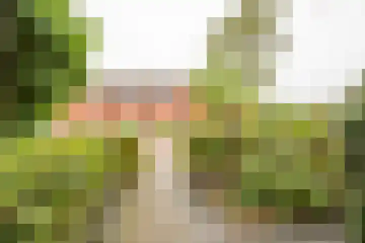 Beekmansgoed 4 Nijkerk thumbnail 32