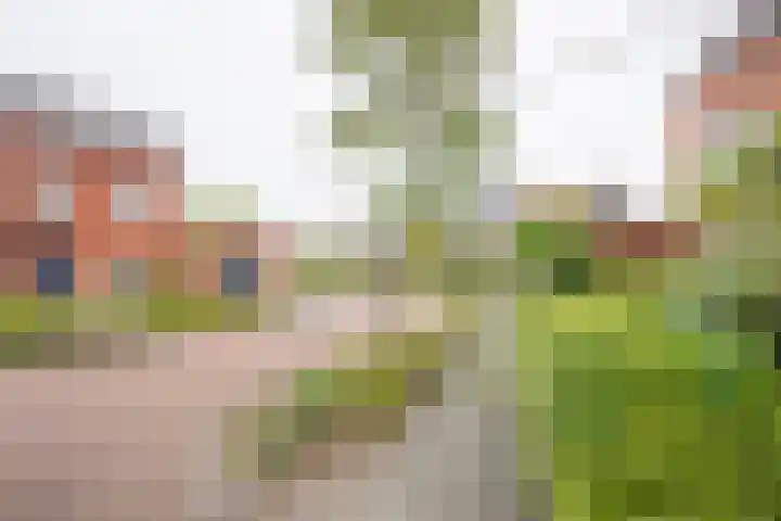 Beekmansgoed 4 Nijkerk thumbnail 34