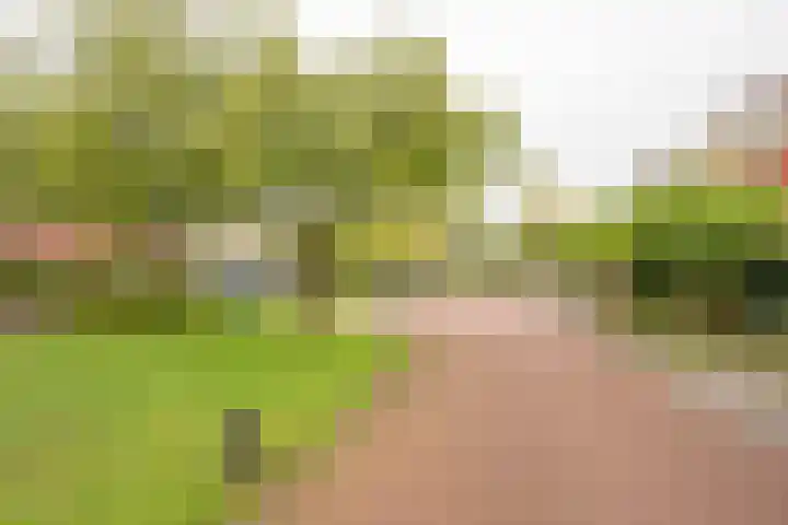 Beekmansgoed 4 Nijkerk thumbnail 35