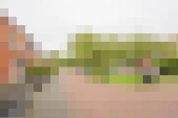 Beekmansgoed 4 Nijkerk thumbnail 36
