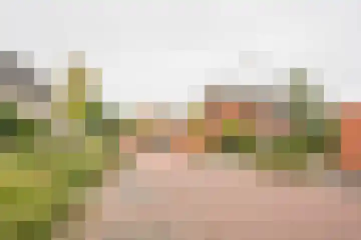 Beekmansgoed 4 Nijkerk thumbnail 37
