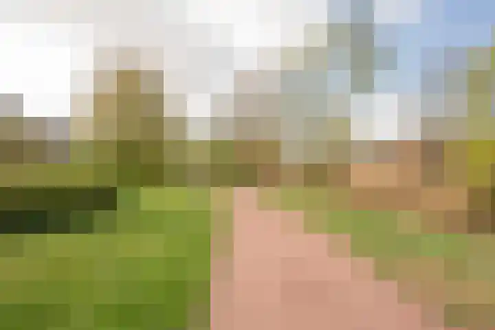 Beekmansgoed 4 Nijkerk thumbnail 40