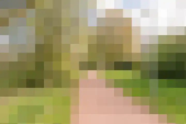 Beekmansgoed 4 Nijkerk thumbnail 41