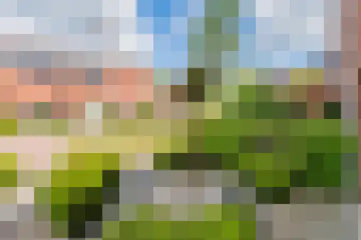 Beekmansgoed 6 Nijkerk thumbnail 21