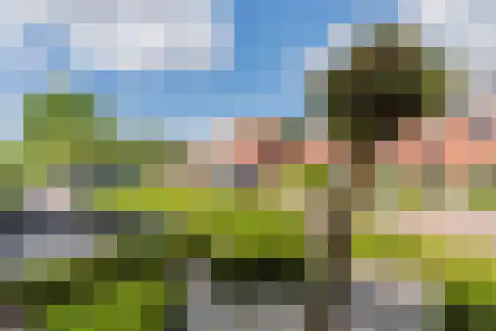 Beekmansgoed 6 Nijkerk thumbnail 22