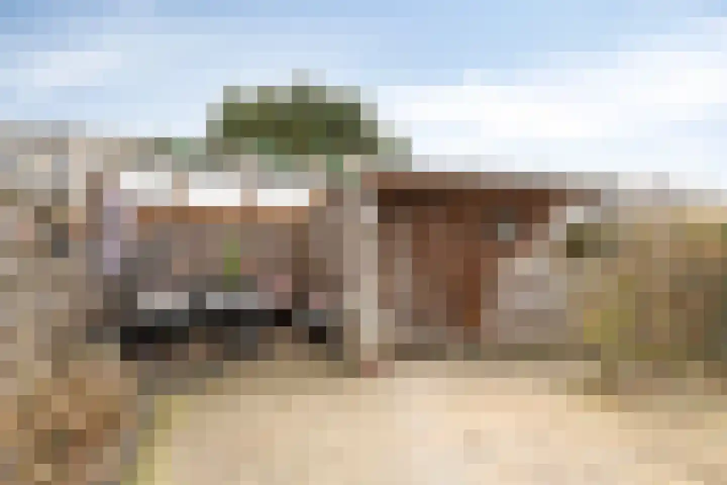 Beekmanstraat 12 Kampen thumbnail 4