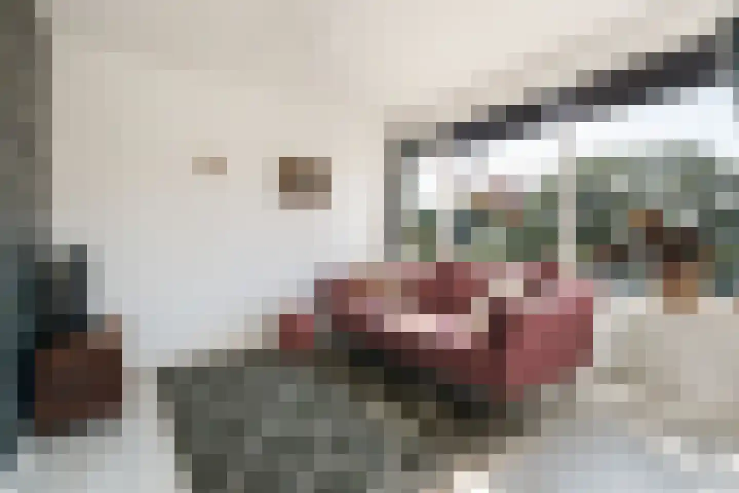 Beekmanstraat 123 Dordrecht thumbnail 6