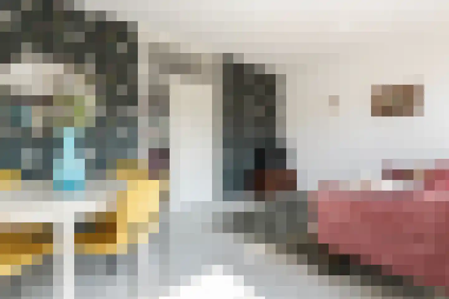 Beekmanstraat 123 Dordrecht thumbnail 8