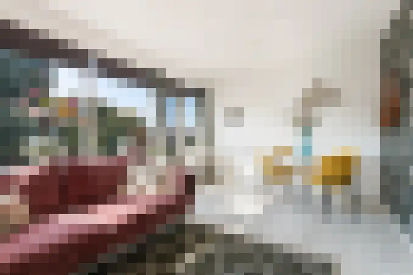 Beekmanstraat 123 Dordrecht thumbnail 9